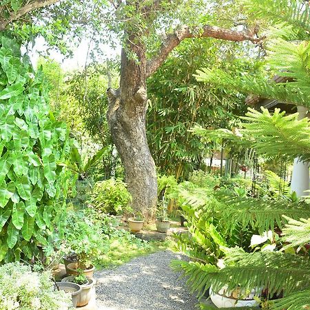 Livinginn Polonnaruwa Ngoại thất bức ảnh