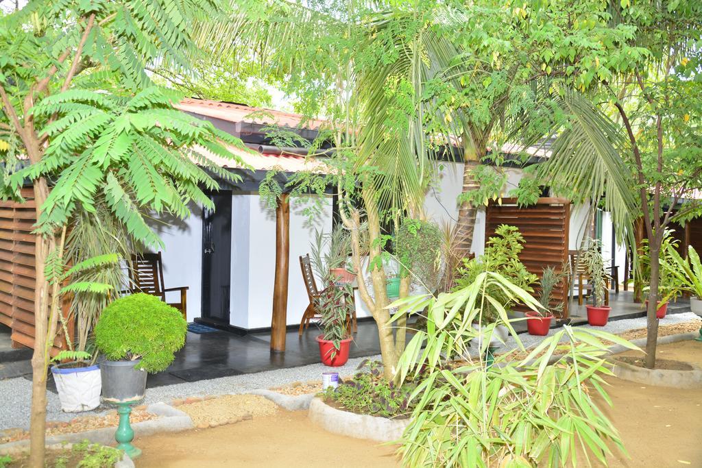 Livinginn Polonnaruwa Ngoại thất bức ảnh