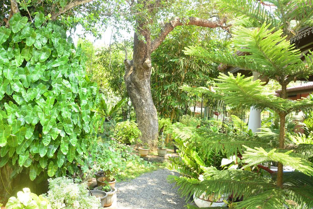 Livinginn Polonnaruwa Ngoại thất bức ảnh