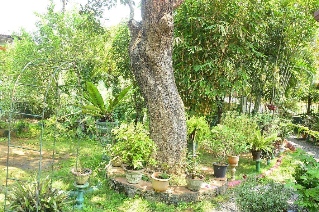Livinginn Polonnaruwa Ngoại thất bức ảnh