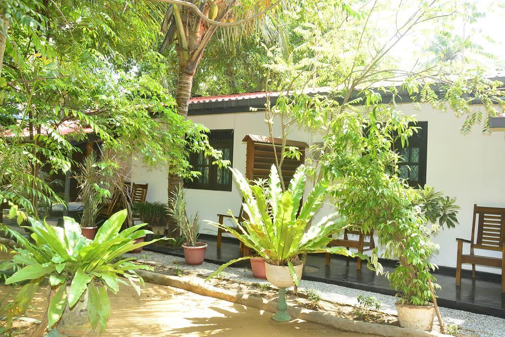 Livinginn Polonnaruwa Ngoại thất bức ảnh