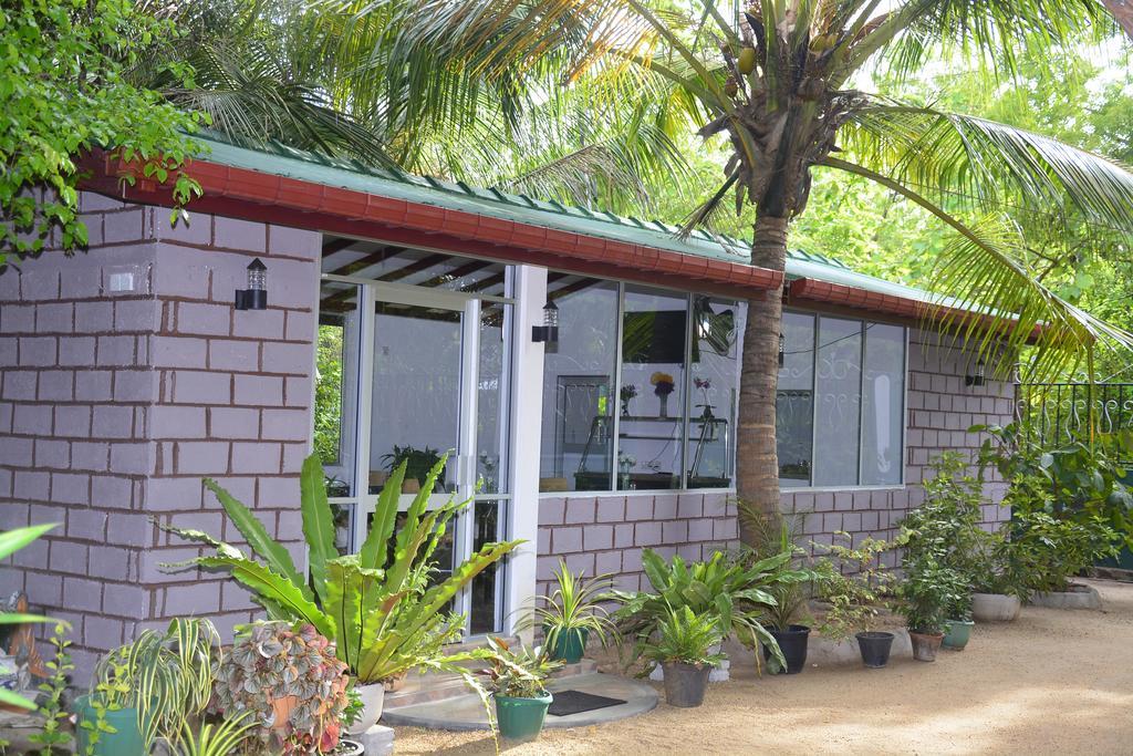 Livinginn Polonnaruwa Ngoại thất bức ảnh