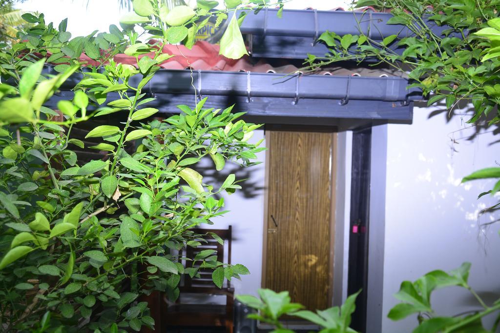 Livinginn Polonnaruwa Ngoại thất bức ảnh